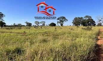 Imagem 3: Fazenda 30 Alqueires Região De Campina Verde/MG