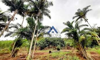 Imagem: Terreno à venda, 20000 m² por R$ 450.000,00