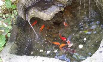 Imagem 4: Sobrado à venda, 4 quartos, 4 suítes, Cidade Monções - São Paulo/SP