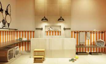 Imagem 5: Apartamento para venda com 40 metros quadrados com 2 quartos em São Cristóvão - Rio de Jan