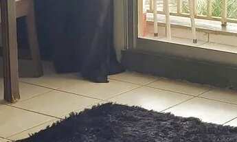 Imagem: Quarto disponível para aluguel