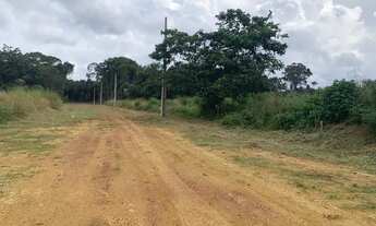 Imagem 6: Lotes 19x59 no km 19 Iranduba