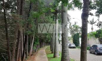 Imagem 5: Casa - Bairro das Palmeiras - Campinas