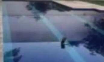 Imagem 3: Casa de condomínio para aluguel tem 400 metros quadrados com 5 quartos