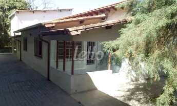 Imagem: São Paulo - Terreno Padrão - Cachoeirinha