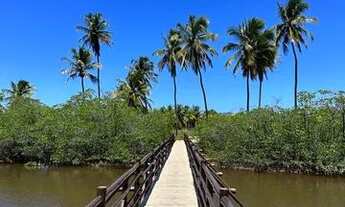 Imagem 8: Tenha suas férias de graça investindo em são miguel dos milagres