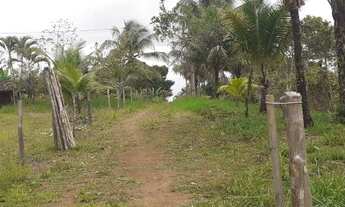 Imagem 4: Vendo Excelente Sitio Em Valença Bahia