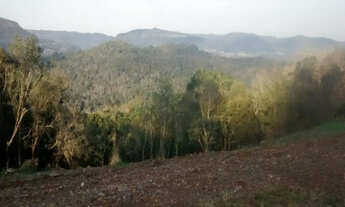 Imagem 2: Sítio com 3ha, sendo 62m de frente por 480m de comprimento. 8km do Centro de Gramado