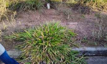 Imagem 7: Excelente Lote Villa da Serra - Itabirito