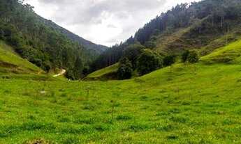 Imagem 13: Fazenda/Sítio/Chácara para venda com 62.500 metros quadrados em Garcia - Angelina - SC
