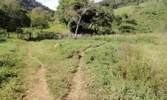 Imagem 4: Fazenda 68 Alqueires - Paraisópolis-MG
