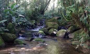 Imagem 5: Terreno com 32 hectares e com lindo riacho formando cachoeira