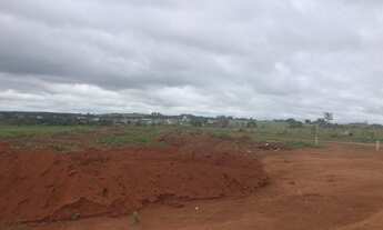 Imagem: Lançamento Dra. Zelia Nunes - Condições