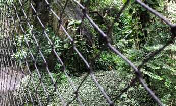 Imagem 5: Lagoa - Rio de Janeiro - RJ
