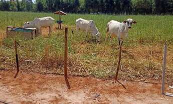 Imagem 4: Vende-se chacara