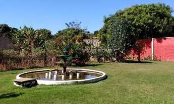 Imagem 4: Chácara em Conjunto Habitacional Jardim das Palmeiras - Ribeirão Preto