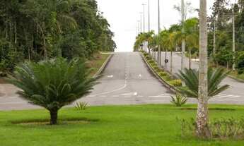 Imagem 2: Lote/Terreno para venda possui 250 metros quadrados em Tarumã - Manaus - Amazonas...