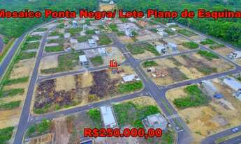 Imagem: Lote Plano no Mosaico 228m² Pronto p Construir