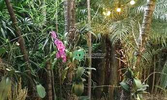 Imagem 2: Casa para alugar, 164 m² por R$ 14.059,05/mês - Pinheiros - São Paulo/SP