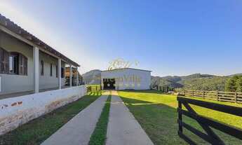 Imagem 3: Campo Largo, Fazenda Confinamento/ Haras / Reflorestamento/ Gado, 52 alqueires, à venda I