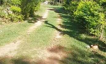 Imagem: Chácara porteira fechada