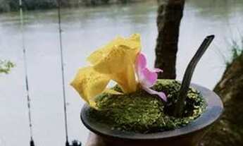 Imagem 7: Mariante - Venâncio Aires - belíssima chácara na barranca do Rio Taquari