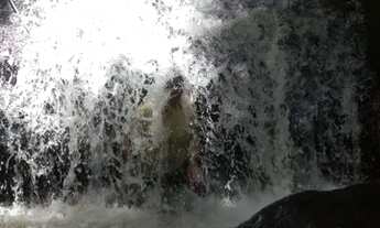 Imagem 7: Chacara 30 mil metros no sul de minas