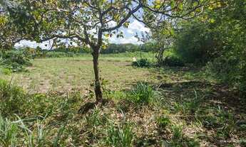 Imagem 5: Propriedade espetacular em aldeia!!! perto do asfalto, com água e muito verde!!!