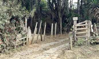 Imagem 3: COTIA - Terreno Padrao - COTIA