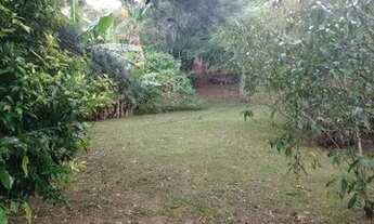 Imagem 3: Chácara com piscina