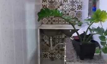 Imagem 6: Vendo ou troco casa com ponto comercial