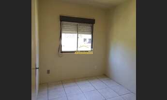 Imagem 4: PELOTAS - Padrão - fragata