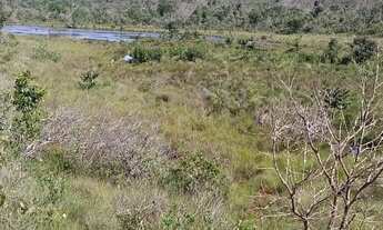 Imagem 3: FAZENDA À VENDA EM SONORA - MS - 1.248 HECTARES (DUPLA APTIDÃO