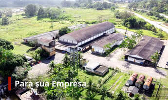 Imagem: Área as margens do Matapi