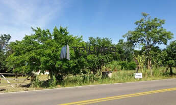 Imagem 2: Lindo Sítio com vista para o vale! Cód.: ST00144