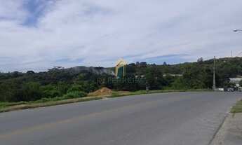 Imagem 7: ALMIRANTE TAMANDARé - Terreno Padrão - Campina do Arruda