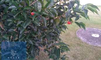 Imagem 7: Casa c/ 3 dorm. à venda; 303m²- R$1.299.000 no Village Ipanema I (PERMUTA