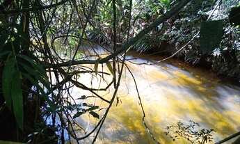 Imagem 6: Super chácara com piscina e peixes gramada jardins