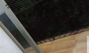 Imagem 5: Rio de Janeiro - Apartamento Padrão - Freguesia de Jacarepaguá