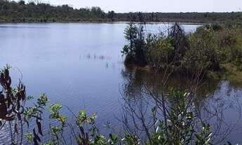 Imagem 7: FAZENDA À VENDA EM SONORA - MS - 1.248 HECTARES (DUPLA APTIDÃO