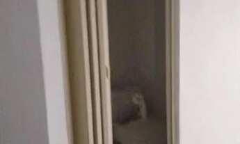 Imagem 6: Loja comercial para Locação em Santos