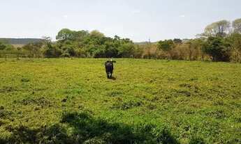 Imagem 4: Linda Chácara de Ponte Alta Gama / Ótima Localização!
