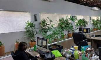 Imagem 2: Barracão Comercial para venda no Cidade Nova em Franca/SP