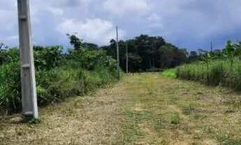 Imagem 2: Lotes 19x59 no km 19 Iranduba