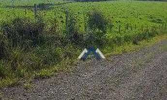 Imagem 3: Fazenda à venda, 102 alqueires por R$ 9.000.000 - Tereza Cristina - Candido de Abreu/PR