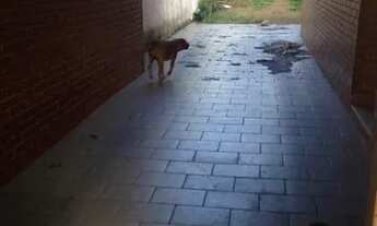 Imagem 3: Casa para Venda - 180m², 4 dormitórios, 4 vagas - Jardim Itu Sabará