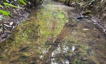 Imagem 4: Vendo lote na SERRA DO CIPÓ