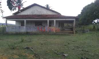 Imagem 5: Vende-se fazenda 148 ha; Aptidão Pecuária em Eunapolis BA