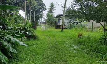 Imagem 6: Propriedade com 6,5 Heketares em rua asfaltada, muita água e com edificações