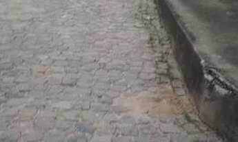 Imagem 5: Casa para vender jardim paulista